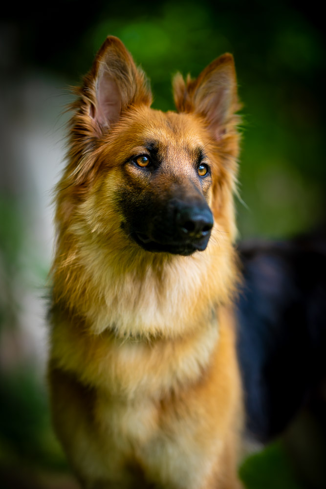 Skye Skye