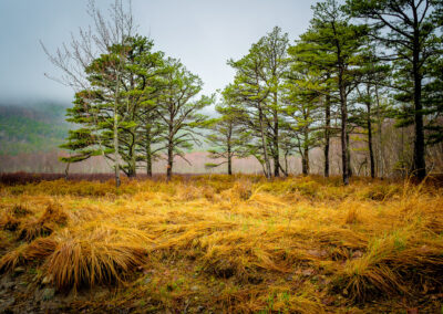 Acadia National Park Maine
