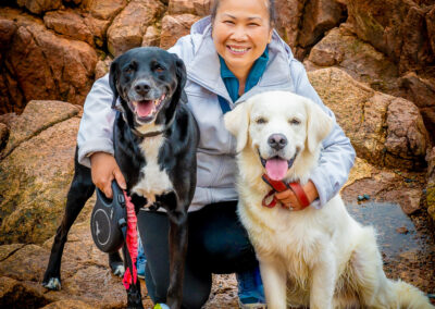 Acadia Thunder Hole Closeup Portrait Black Lab Golden Retriever