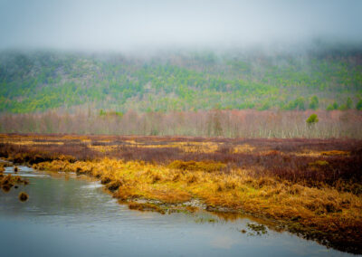 Mount Desert Island Landscape