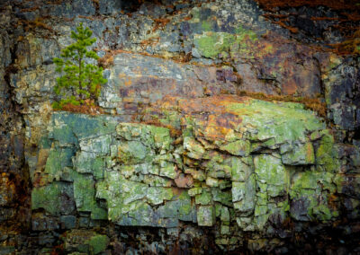 Mount Desert Island Rocks
